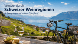 Velotour durch Schweizer Weinregionen
